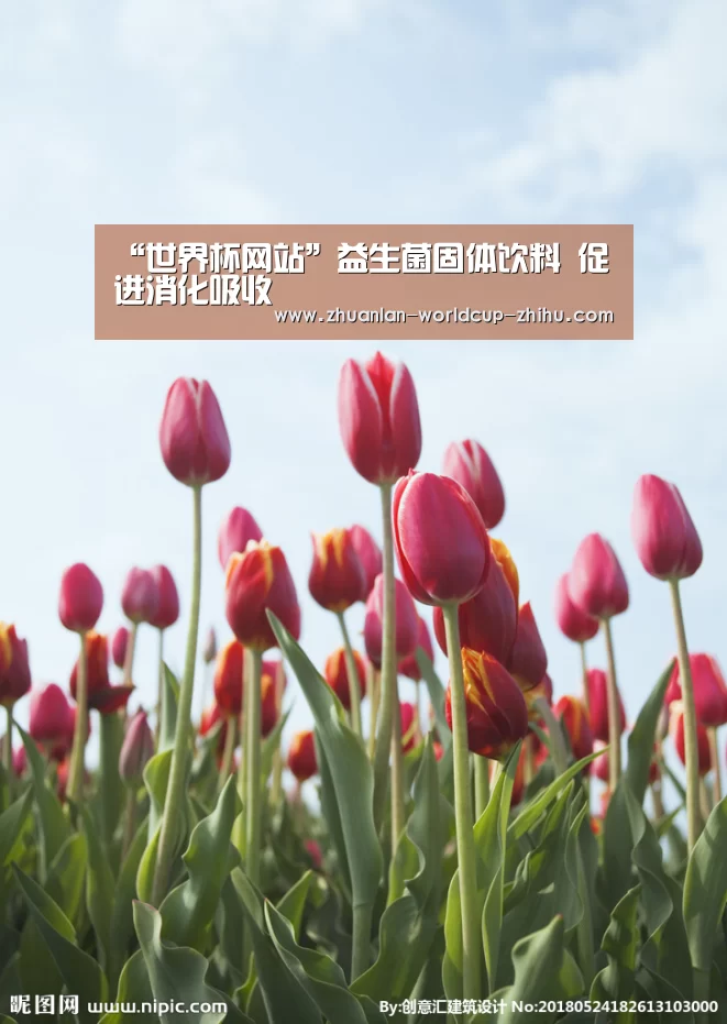 “世界杯网站”益生菌固体饮料 促进消化吸收(图1) 2026世界杯