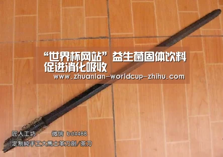 “世界杯网站”益生菌固体饮料 促进消化吸收(图2) 2026世界杯官网