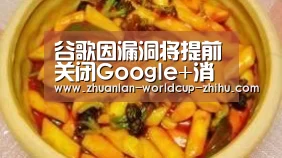 谷歌因漏洞将提前关闭Google+消费者版 未来安全咨询服务将面向行业纵深发展_2026世界杯官网(图2) 2026世界杯官网