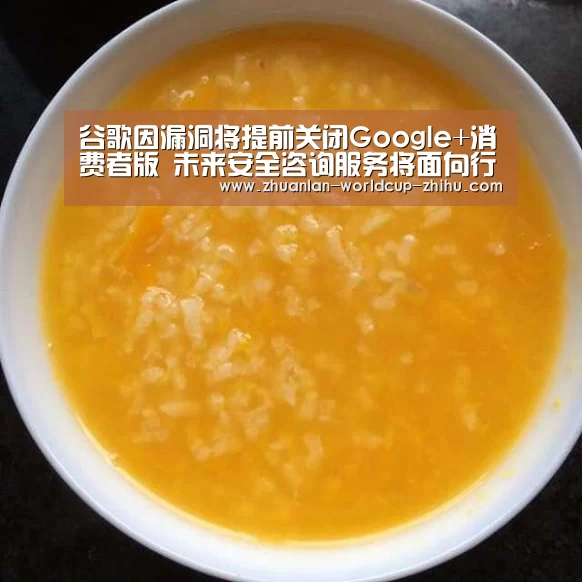 谷歌因漏洞将提前关闭Google+消费者版 未来安全咨询服务将面向行业纵深发展_2026世界杯官网(图1) 2026世界杯