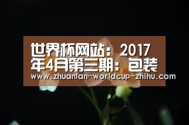 2026世界杯
