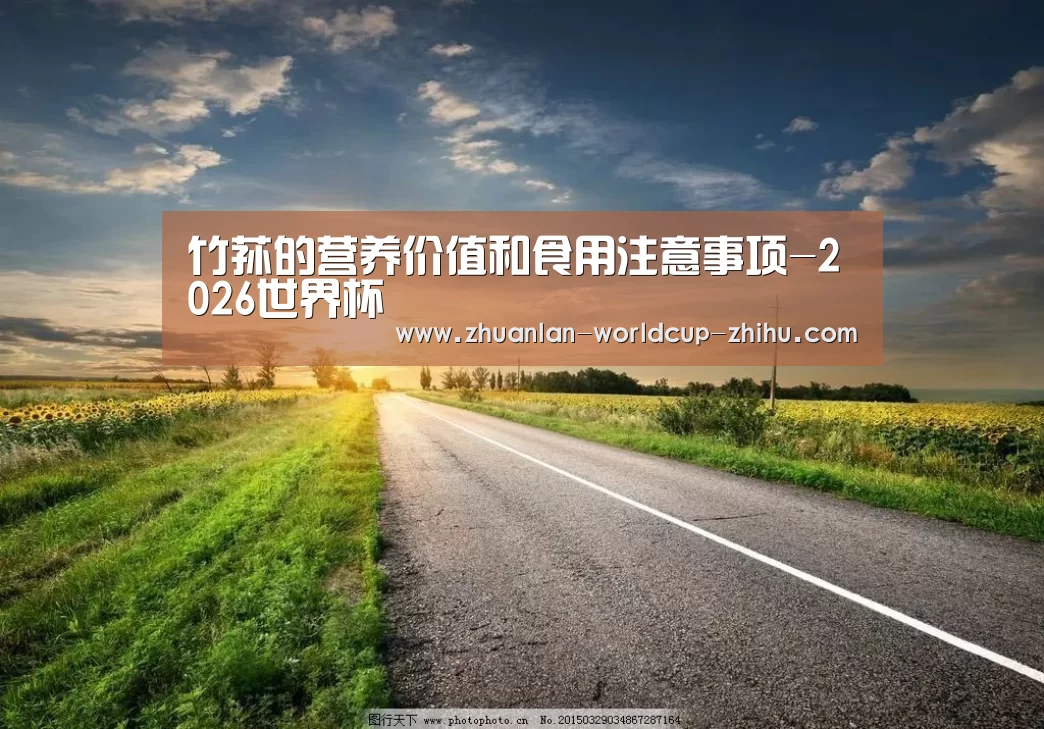 2026世界杯官网