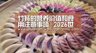 2026世界杯官网