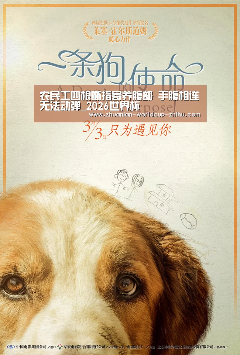 2026世界杯官网