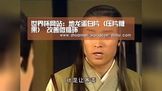 2026世界杯官网