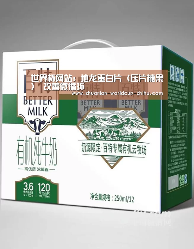2026世界杯官网