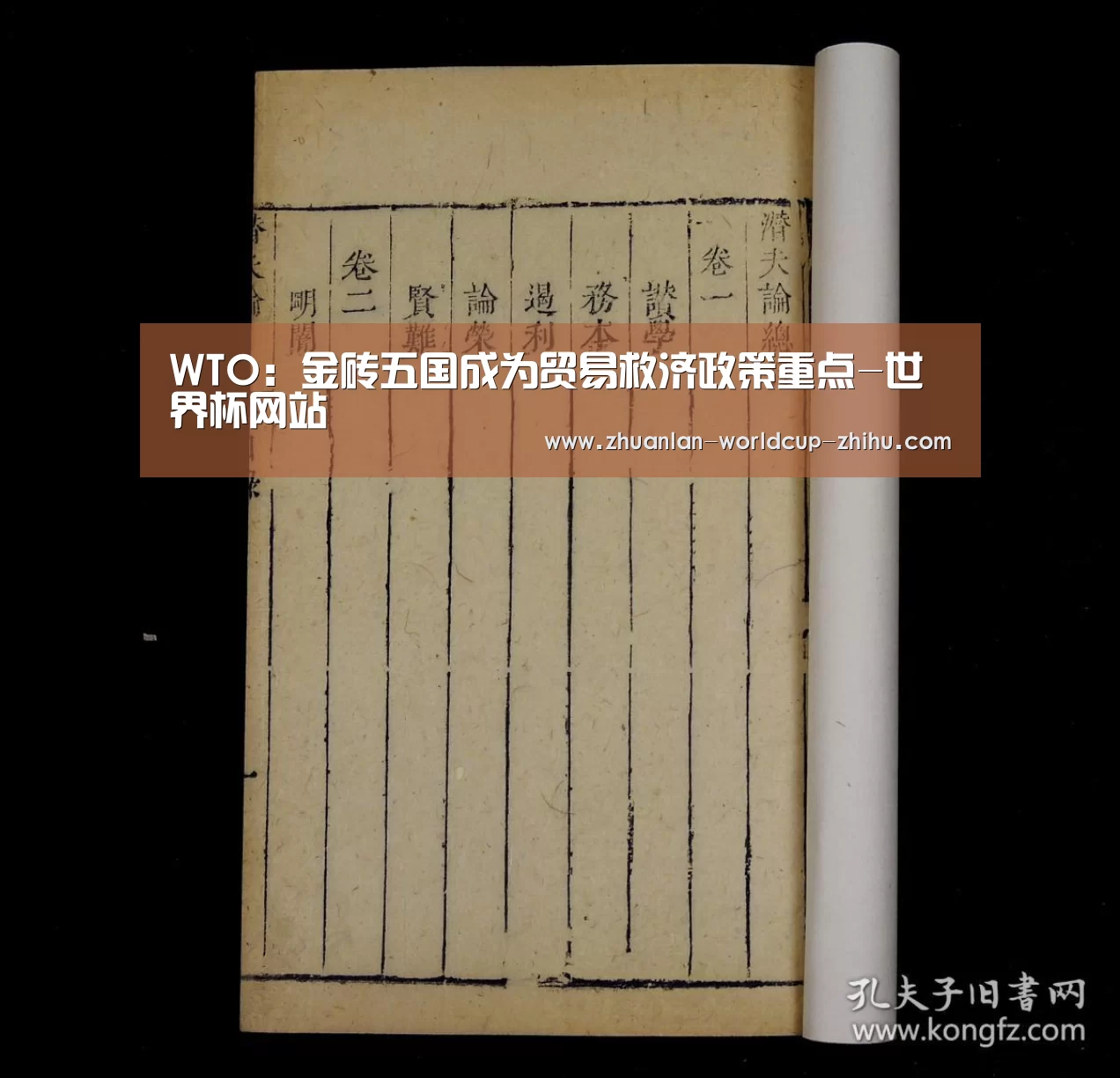 WTO:金砖五国成为贸易救济政策重点-世界杯网站(图1) 世界杯网站