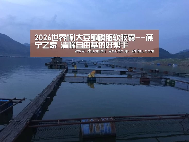 2026世界杯|大豆卵磷脂软胶囊--葆宁之家 清除自由基的好帮手(图3) 世界杯网站