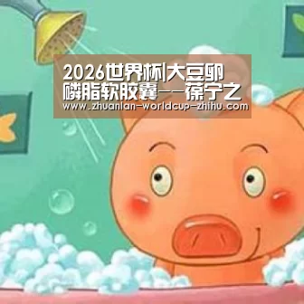 2026世界杯|大豆卵磷脂软胶囊--葆宁之家 清除自由基的好帮手(图2) 2026世界杯