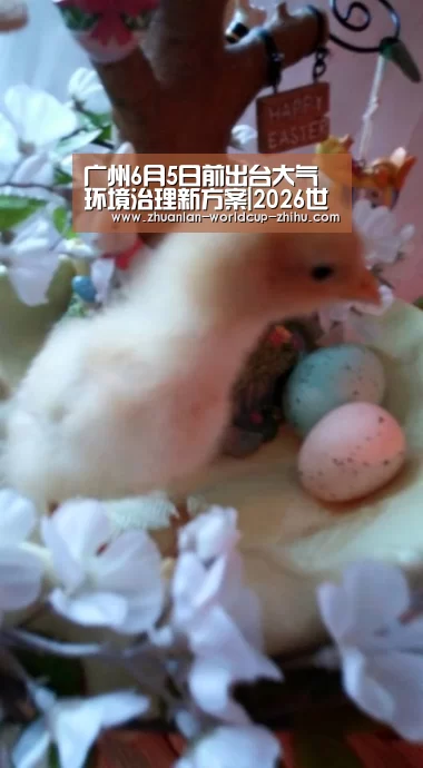 2026世界杯官网