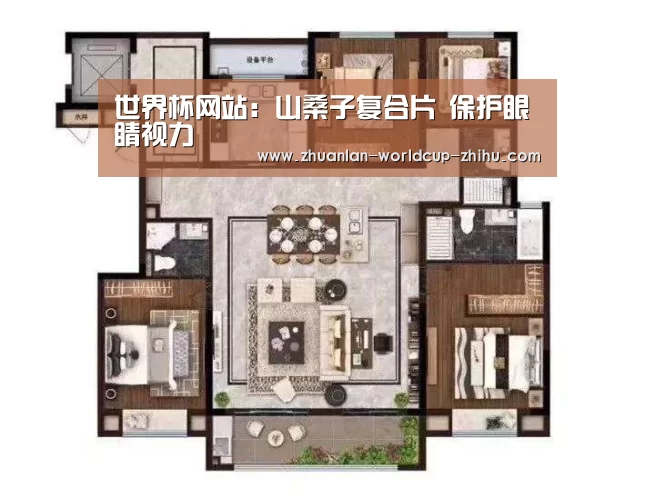 世界杯网站:山桑子复合片 保护眼睛视力(图1) 世界杯网站