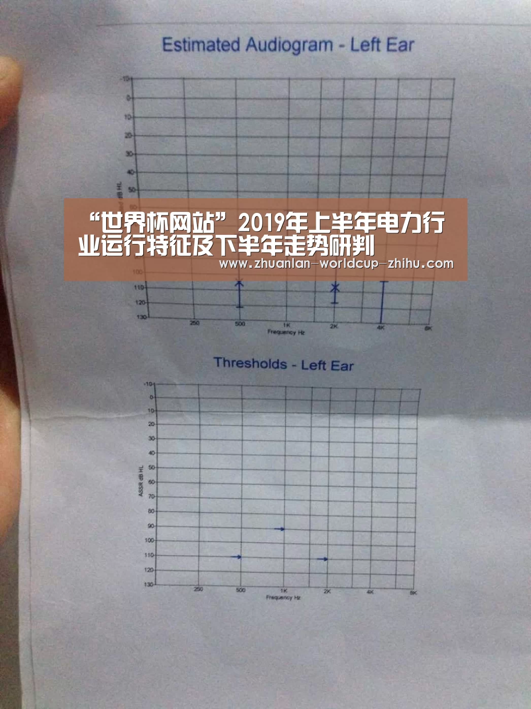 “世界杯网站”2019年上半年电力行业运行特征及下半年走势研判(图4) 2026世界杯