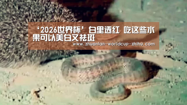 ‘2026世界杯’白里透红 吃这些水果可以美白又祛斑(图1) 2026世界杯官网